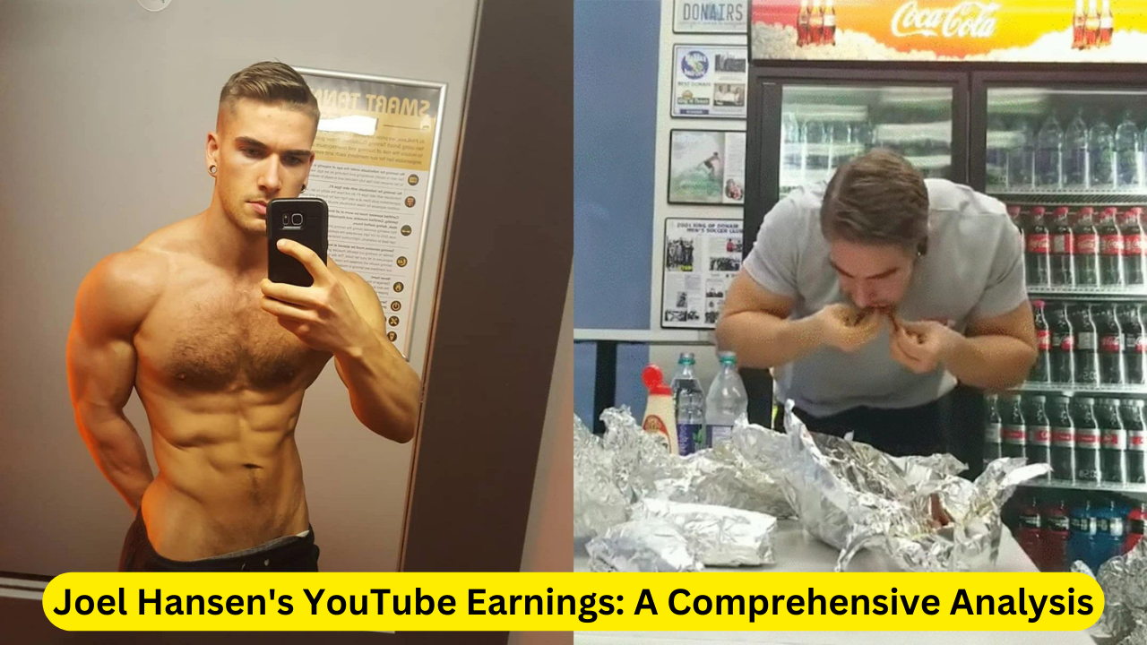 Joel Hansen's YouTube Earnings